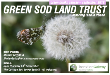 Green Drinks Thurs 13th Sept 8pm Transition Galway